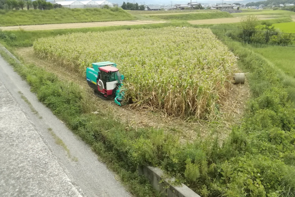 保有農地の風景